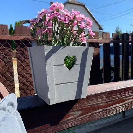 Mandi Apartamento