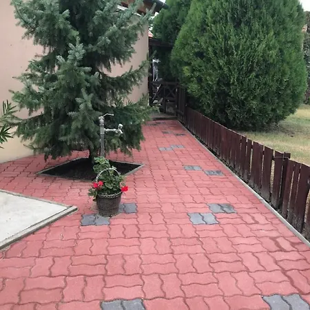 Mandi * Veresegyház