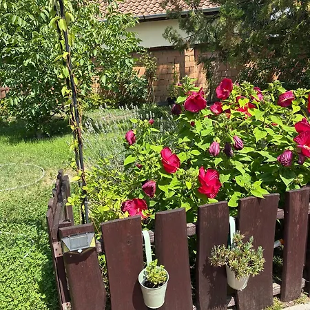 Apartment Mandi Veresegyház