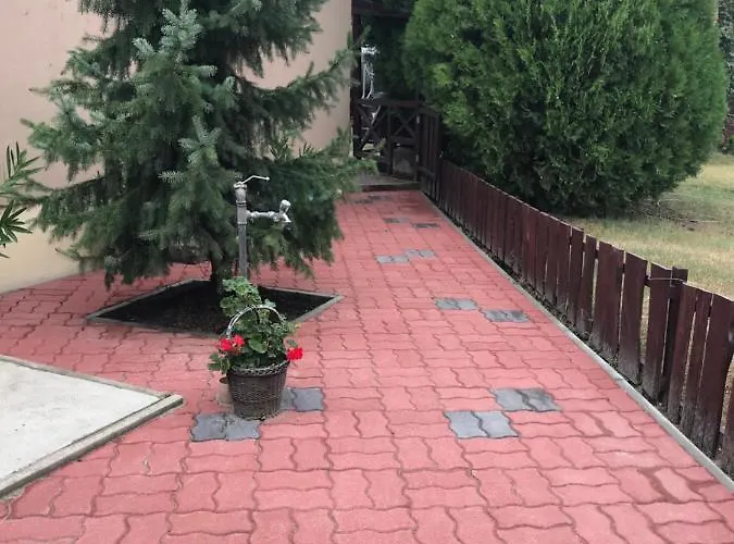 Mandi * Veresegyház